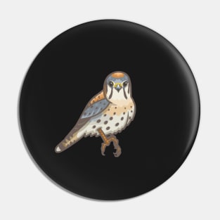 American Kestrel Pin