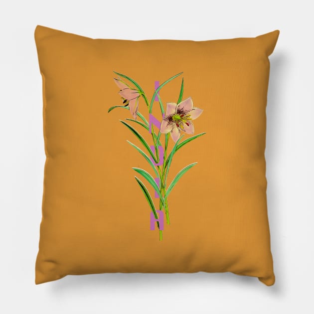 India Vintage Botanical Illustration Pillow by Pico Originals