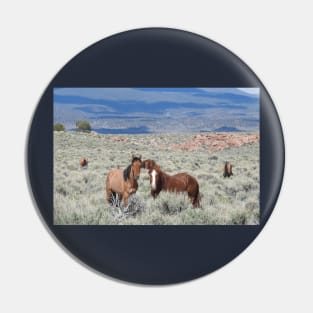 Wild horses, mustangs, wildlife, nature, gifts Pin