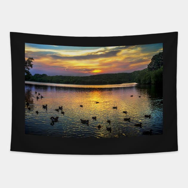 Sunset Over Black Swan Lake Tapestry by IanWL