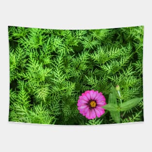 Pink Zinnia flower on yellow cosmos bush Tapestry