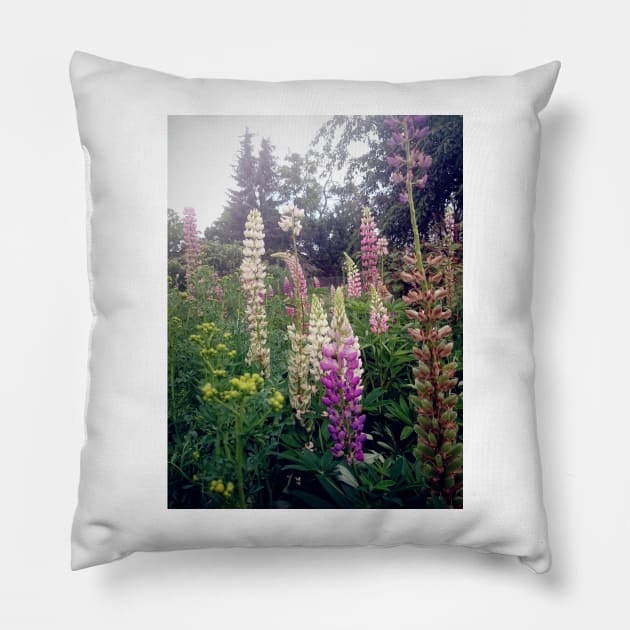 lupins Pillow by Gourmetkater