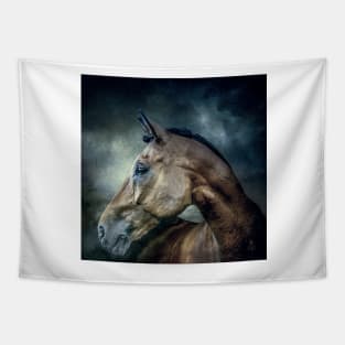 Stallion Tapestry