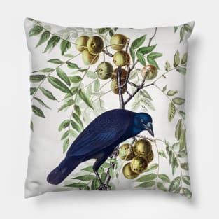 American Crow from Birds of America (1827) Pillow