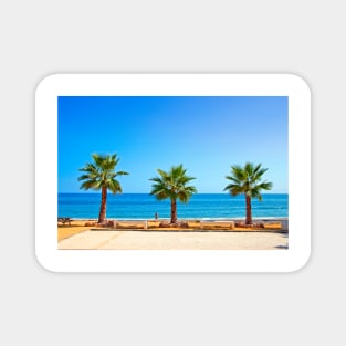 Palm trees Torrox Costa Del Sol Andalusia Costa Spain Magnet