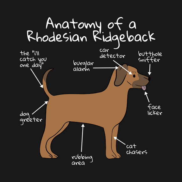 Dog Anatomy Rhodesian Ridgeback by blacklines