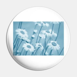 Daisies in Blue #2 Pin