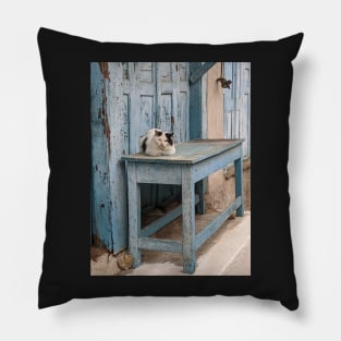 Cat on Blue Pillow