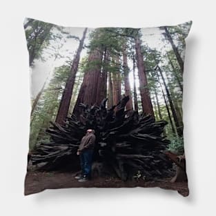 Armstrong Redwoods Pillow