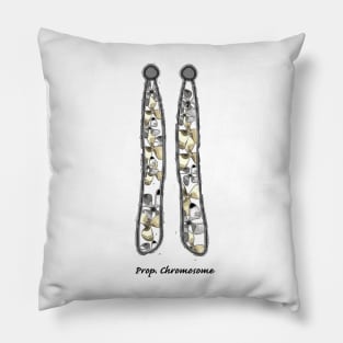 Prop Chromosome Pillow