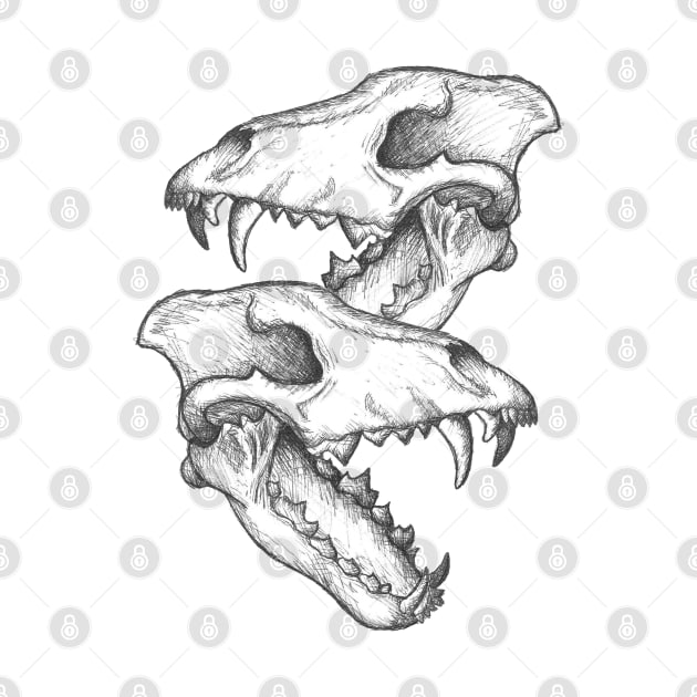 Wolf Skulls by maxberube