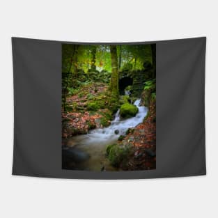 Lake District Waterfall Tapestry