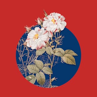 Vintage White Damask Rose Botanical Illustration on Circle T-Shirt