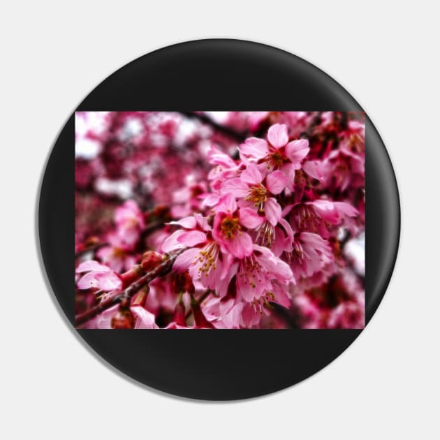 Beautiful Piece of Spring Pin by vadim19