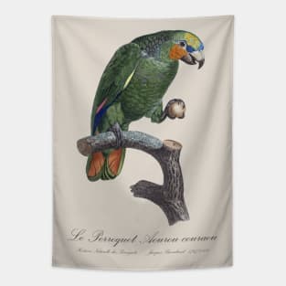 Orange-Winged Amazon Parrot  / Le Perroquet Aourou-Couraou - 19th century Jacques Barraband Illustration Tapestry