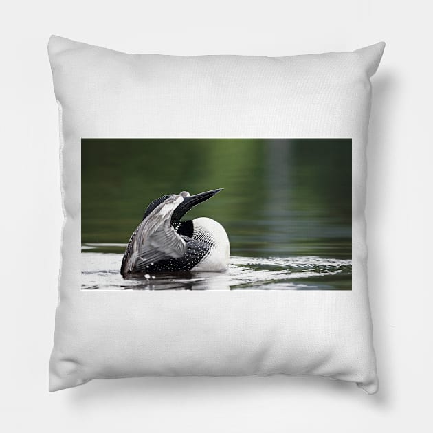 Hide n' seek - Common loon Pillow by Jim Cumming