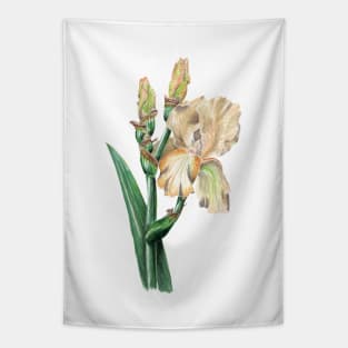 Iris Tapestry