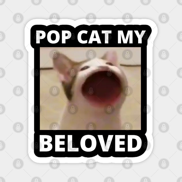 Pop Cat My Beloved Cat Meme Oatmeal Magnet by BobaPenguin