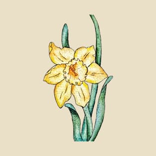 watercolor drawing of daffodil T-Shirt