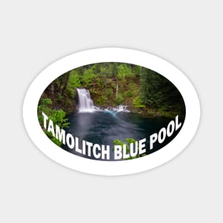 Tamolitch Falls- Blue Pool Oregon Magnet