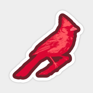 Bold Red Cardinal on Branch – Striking Bird Art Magnet