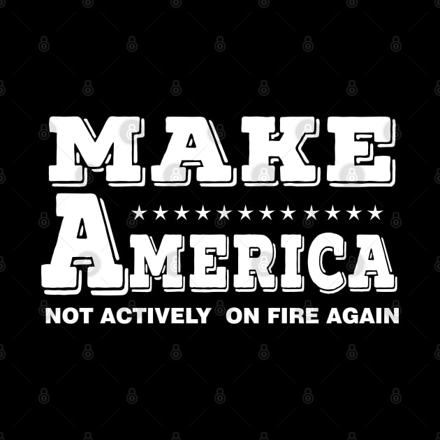 make america not actively on fire again by Moe99