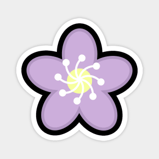 Purple Flower Blossom - Black Magnet