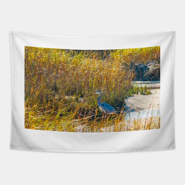 Great Blue Heron in breeding plumage stands at the water’s edge at Hatches Harbor near Provincetown.  Looks great on phone case or as a canvas print on your wall Tapestry by brians101