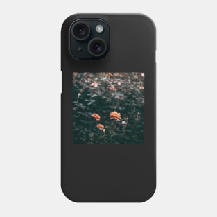 Late Autumn Rose #2 Phone Case