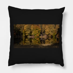 'Autumn Magic 6', Loch Dunmore, Pitlochry Pillow