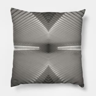 The Oculus (reflection) Pillow