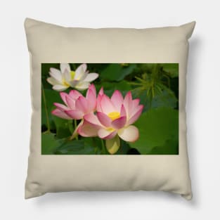 Lotus Pillow