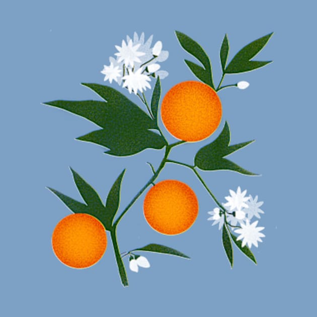 Orange tree blossom by Delaserratoyou