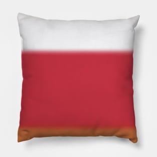 Orangy Ombre Pillow