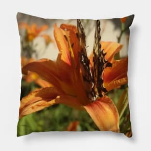 Beautiful photograph of a butterfly on an orange lily flower Pillow