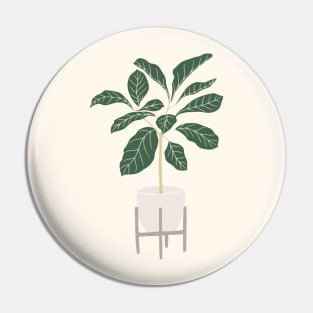Minimalist potter plants Pin