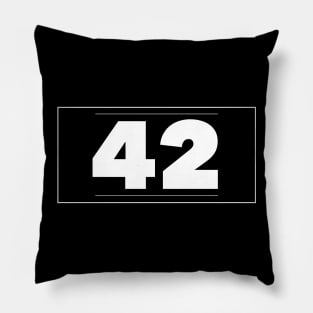 42 Pillow