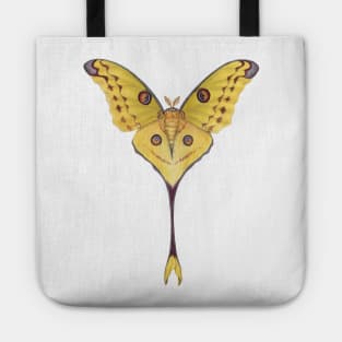 Comet Moth Tote