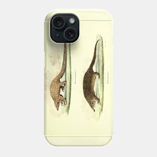 Pangolin Illustration Phone Case