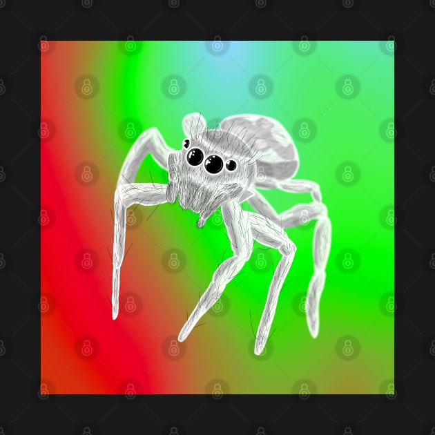 Jumping Spider Drawing V6 by IgorAndMore