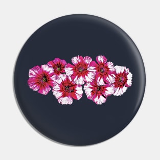 Dianthus - Magenta Dianthus Pin