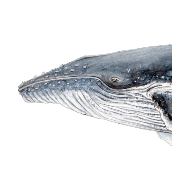 Humpback whale portrait by chloeyzoard