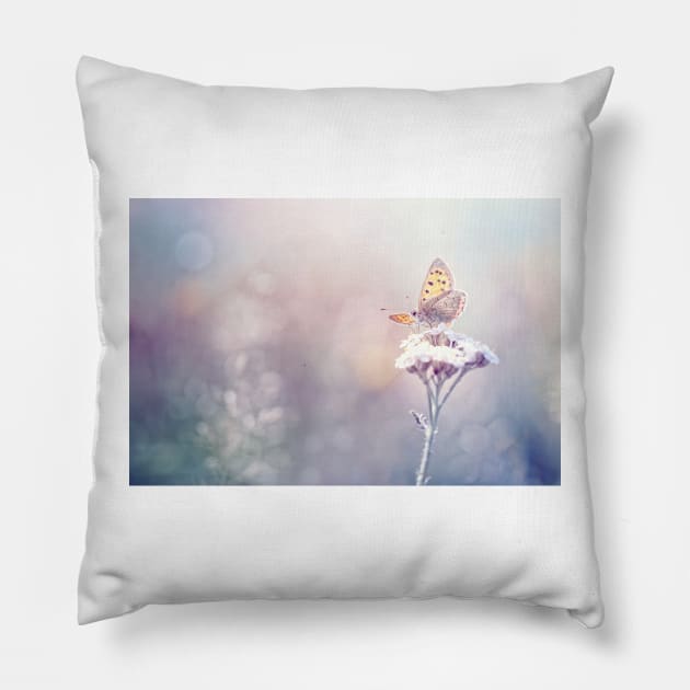 Glow in the dark Pillow by BobDaalder