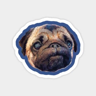 Pug - Cute Puppy Dog Eyes Magnet