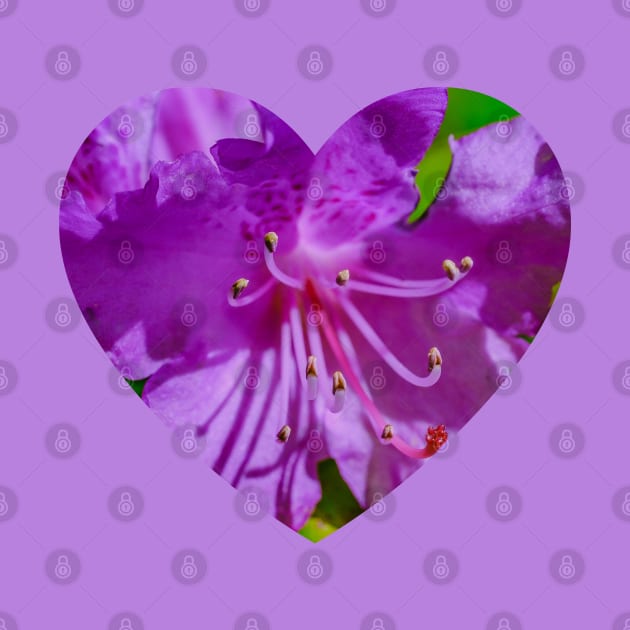 Purple Macro Flower Photograph Heart by love-fi