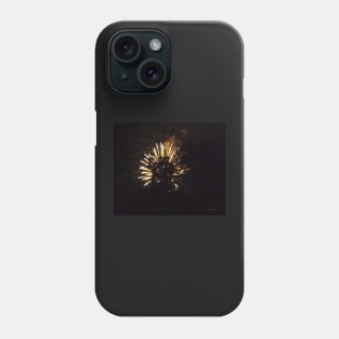 3rd of July Fireworks 10 Phone Case