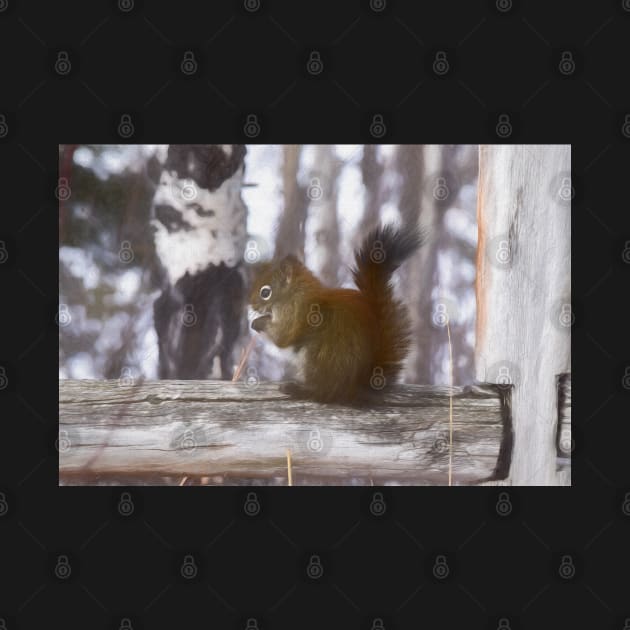 Squirrel on the fence illustration by CanadianWild418