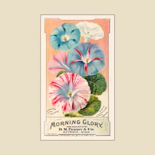 D. M. Ferry & Co. Morning Glory T-Shirt