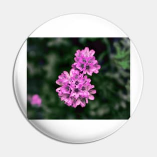 Delicate Pink Flowers Pin