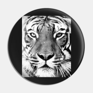 Tiger portrait print Pin